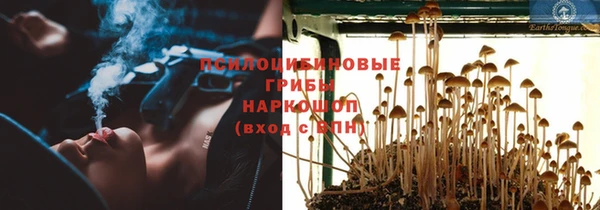прущая мука Верхний Тагил
