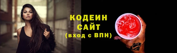 мдпв Верея