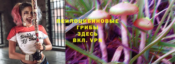 мдпв Верея